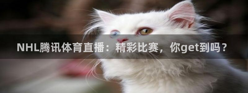 NHL腾讯体育直播：精彩比赛，你get到吗？