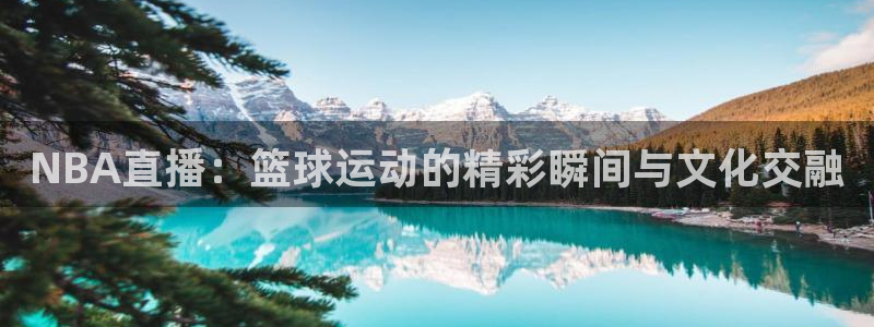 NBA直播：篮球运动的精彩瞬间与文化交融