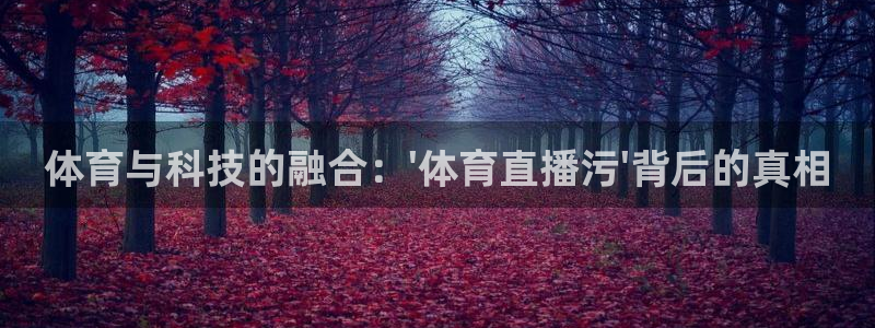 体育与科技的融合：\'体育直播污\'背后的真相